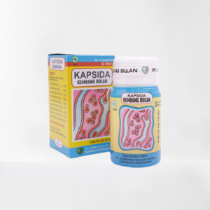Kapsida