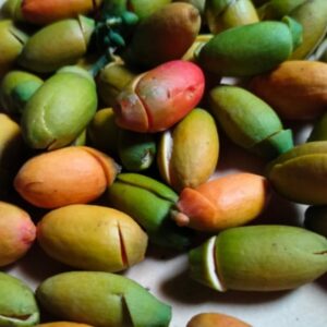 Kulit Melinjo (1kg)