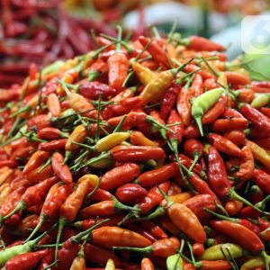 Cabe Indo 500g