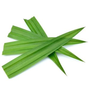 Daun Pandan