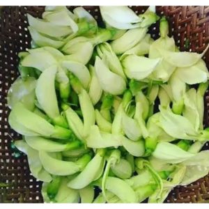 Kembang Turi 1Kg
