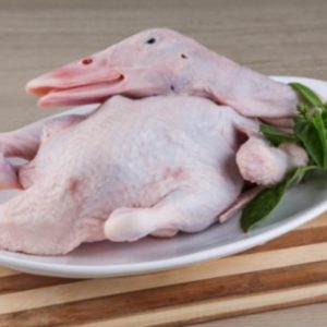 BEBEK