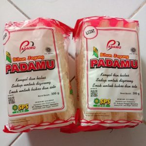 Bihun Indo Padamu