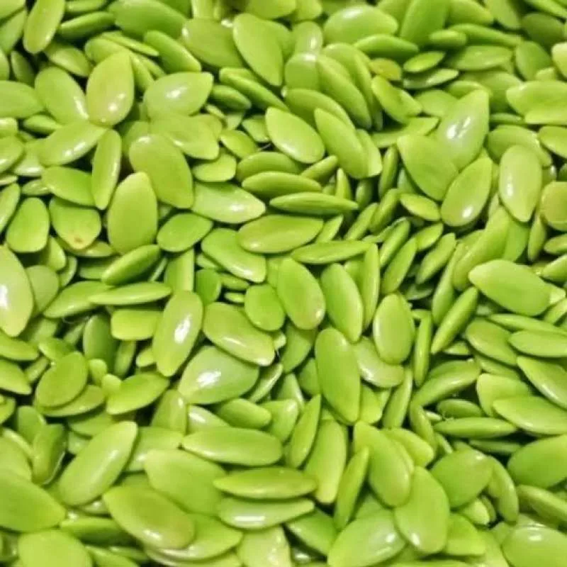 Lamtoro 500g (Frozen)